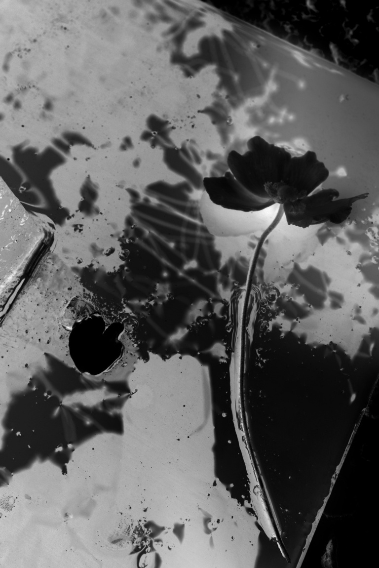 Art Photo Projects - Alexandra Catière pour la résidence INSTANTS à Château Palmer